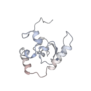 28633_8evq_BP_v1-0
Hypopseudouridylated Ribosome bound with TSV IRES, eEF2, GDP, and sordarin, Structure I