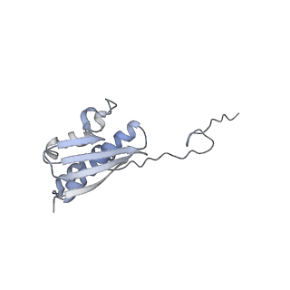 28633_8evq_BQ_v1-0
Hypopseudouridylated Ribosome bound with TSV IRES, eEF2, GDP, and sordarin, Structure I