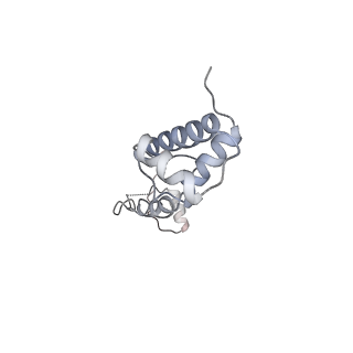 28633_8evq_BR_v1-0
Hypopseudouridylated Ribosome bound with TSV IRES, eEF2, GDP, and sordarin, Structure I