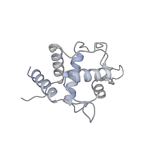 28633_8evq_BT_v1-0
Hypopseudouridylated Ribosome bound with TSV IRES, eEF2, GDP, and sordarin, Structure I