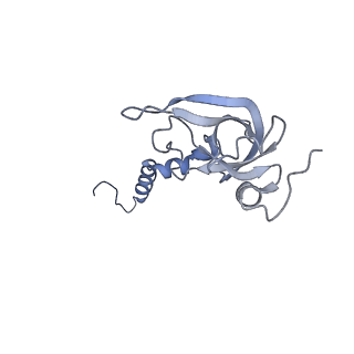 28633_8evq_BX_v1-0
Hypopseudouridylated Ribosome bound with TSV IRES, eEF2, GDP, and sordarin, Structure I