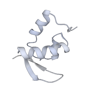 28633_8evq_BZ_v1-0
Hypopseudouridylated Ribosome bound with TSV IRES, eEF2, GDP, and sordarin, Structure I