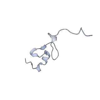 28633_8evq_Bd_v1-0
Hypopseudouridylated Ribosome bound with TSV IRES, eEF2, GDP, and sordarin, Structure I