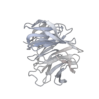 28633_8evq_Bg_v1-0
Hypopseudouridylated Ribosome bound with TSV IRES, eEF2, GDP, and sordarin, Structure I