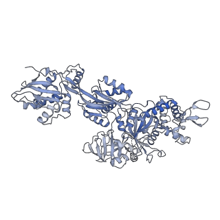 28633_8evq_DC_v1-0
Hypopseudouridylated Ribosome bound with TSV IRES, eEF2, GDP, and sordarin, Structure I