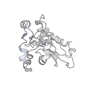 28633_8evq_E_v1-0
Hypopseudouridylated Ribosome bound with TSV IRES, eEF2, GDP, and sordarin, Structure I