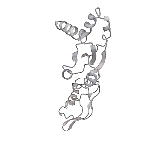 28633_8evq_V_v1-0
Hypopseudouridylated Ribosome bound with TSV IRES, eEF2, GDP, and sordarin, Structure I