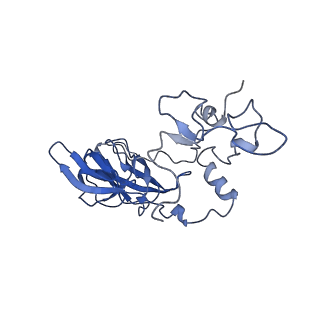 28634_8evr_AA_v1-0
Hypopseudouridylated yeast 80S bound with Taura syndrome virus (TSV) internal ribosome entry site (IRES), eEF2, GDP, and sordarin, Structure II