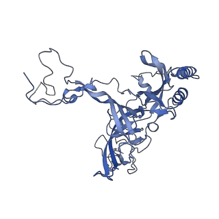 28634_8evr_AB_v1-0
Hypopseudouridylated yeast 80S bound with Taura syndrome virus (TSV) internal ribosome entry site (IRES), eEF2, GDP, and sordarin, Structure II