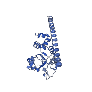 28634_8evr_AF_v1-0
Hypopseudouridylated yeast 80S bound with Taura syndrome virus (TSV) internal ribosome entry site (IRES), eEF2, GDP, and sordarin, Structure II
