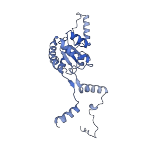 28634_8evr_AG_v1-0
Hypopseudouridylated yeast 80S bound with Taura syndrome virus (TSV) internal ribosome entry site (IRES), eEF2, GDP, and sordarin, Structure II