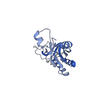 28634_8evr_AI_v1-0
Hypopseudouridylated yeast 80S bound with Taura syndrome virus (TSV) internal ribosome entry site (IRES), eEF2, GDP, and sordarin, Structure II
