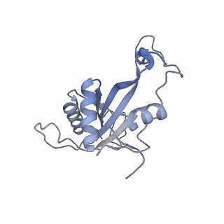 28634_8evr_AJ_v1-0
Hypopseudouridylated yeast 80S bound with Taura syndrome virus (TSV) internal ribosome entry site (IRES), eEF2, GDP, and sordarin, Structure II