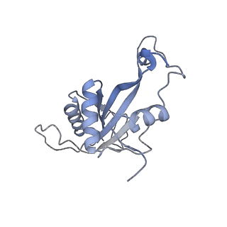28634_8evr_AJ_v2-0
Hypopseudouridylated yeast 80S bound with Taura syndrome virus (TSV) internal ribosome entry site (IRES), eEF2, GDP, and sordarin, Structure II