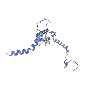 28634_8evr_AL_v1-0
Hypopseudouridylated yeast 80S bound with Taura syndrome virus (TSV) internal ribosome entry site (IRES), eEF2, GDP, and sordarin, Structure II