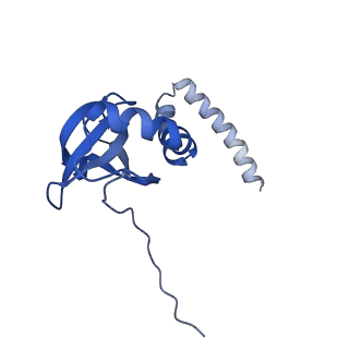28634_8evr_AM_v1-0
Hypopseudouridylated yeast 80S bound with Taura syndrome virus (TSV) internal ribosome entry site (IRES), eEF2, GDP, and sordarin, Structure II