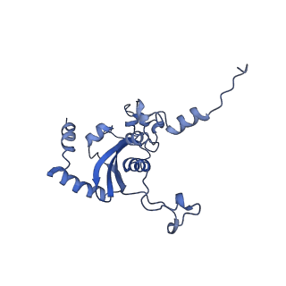 28634_8evr_AN_v1-0
Hypopseudouridylated yeast 80S bound with Taura syndrome virus (TSV) internal ribosome entry site (IRES), eEF2, GDP, and sordarin, Structure II