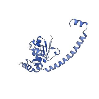 28634_8evr_AO_v1-0
Hypopseudouridylated yeast 80S bound with Taura syndrome virus (TSV) internal ribosome entry site (IRES), eEF2, GDP, and sordarin, Structure II