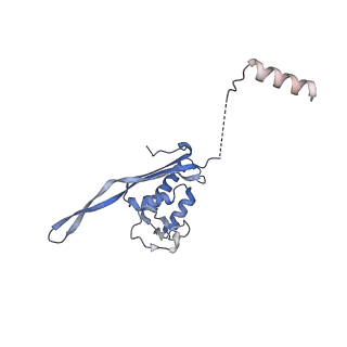28634_8evr_AP_v1-0
Hypopseudouridylated yeast 80S bound with Taura syndrome virus (TSV) internal ribosome entry site (IRES), eEF2, GDP, and sordarin, Structure II