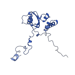 28634_8evr_AQ_v1-0
Hypopseudouridylated yeast 80S bound with Taura syndrome virus (TSV) internal ribosome entry site (IRES), eEF2, GDP, and sordarin, Structure II