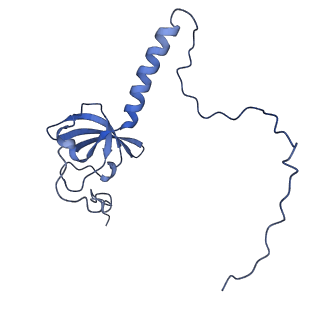 28634_8evr_AT_v1-0
Hypopseudouridylated yeast 80S bound with Taura syndrome virus (TSV) internal ribosome entry site (IRES), eEF2, GDP, and sordarin, Structure II