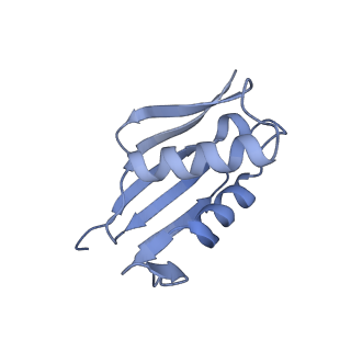 28634_8evr_AU_v1-0
Hypopseudouridylated yeast 80S bound with Taura syndrome virus (TSV) internal ribosome entry site (IRES), eEF2, GDP, and sordarin, Structure II