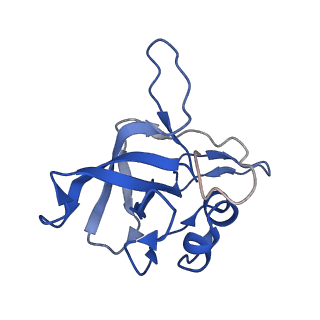 28634_8evr_AV_v1-0
Hypopseudouridylated yeast 80S bound with Taura syndrome virus (TSV) internal ribosome entry site (IRES), eEF2, GDP, and sordarin, Structure II