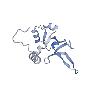 28634_8evr_AY_v1-0
Hypopseudouridylated yeast 80S bound with Taura syndrome virus (TSV) internal ribosome entry site (IRES), eEF2, GDP, and sordarin, Structure II