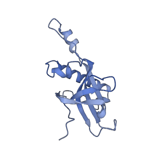 28634_8evr_AZ_v1-0
Hypopseudouridylated yeast 80S bound with Taura syndrome virus (TSV) internal ribosome entry site (IRES), eEF2, GDP, and sordarin, Structure II