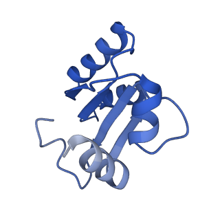 28634_8evr_Ac_v1-0
Hypopseudouridylated yeast 80S bound with Taura syndrome virus (TSV) internal ribosome entry site (IRES), eEF2, GDP, and sordarin, Structure II