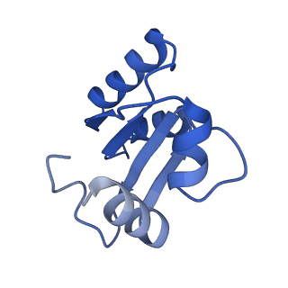 28634_8evr_Ac_v2-0
Hypopseudouridylated yeast 80S bound with Taura syndrome virus (TSV) internal ribosome entry site (IRES), eEF2, GDP, and sordarin, Structure II