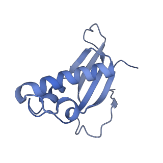28634_8evr_Ad_v1-0
Hypopseudouridylated yeast 80S bound with Taura syndrome virus (TSV) internal ribosome entry site (IRES), eEF2, GDP, and sordarin, Structure II