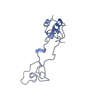 28634_8evr_Ae_v1-0
Hypopseudouridylated yeast 80S bound with Taura syndrome virus (TSV) internal ribosome entry site (IRES), eEF2, GDP, and sordarin, Structure II