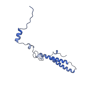28634_8evr_Ah_v1-0
Hypopseudouridylated yeast 80S bound with Taura syndrome virus (TSV) internal ribosome entry site (IRES), eEF2, GDP, and sordarin, Structure II