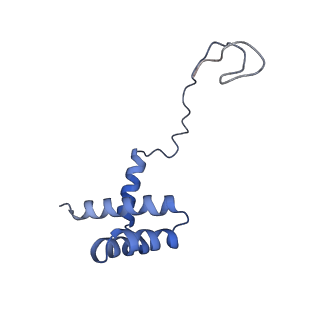28634_8evr_Ai_v1-0
Hypopseudouridylated yeast 80S bound with Taura syndrome virus (TSV) internal ribosome entry site (IRES), eEF2, GDP, and sordarin, Structure II