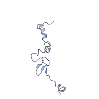 28634_8evr_Aj_v1-0
Hypopseudouridylated yeast 80S bound with Taura syndrome virus (TSV) internal ribosome entry site (IRES), eEF2, GDP, and sordarin, Structure II