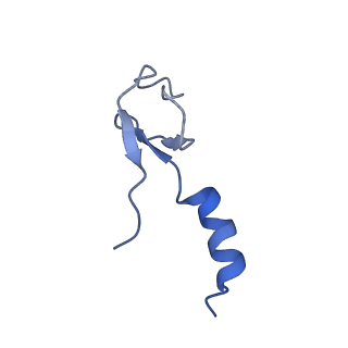 28634_8evr_Am_v1-0
Hypopseudouridylated yeast 80S bound with Taura syndrome virus (TSV) internal ribosome entry site (IRES), eEF2, GDP, and sordarin, Structure II