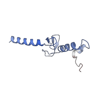 28634_8evr_Ap_v1-0
Hypopseudouridylated yeast 80S bound with Taura syndrome virus (TSV) internal ribosome entry site (IRES), eEF2, GDP, and sordarin, Structure II