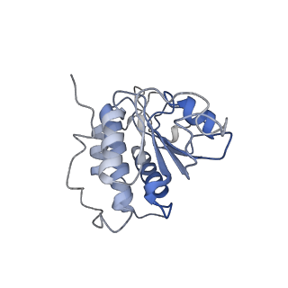 28634_8evr_BA_v1-0
Hypopseudouridylated yeast 80S bound with Taura syndrome virus (TSV) internal ribosome entry site (IRES), eEF2, GDP, and sordarin, Structure II