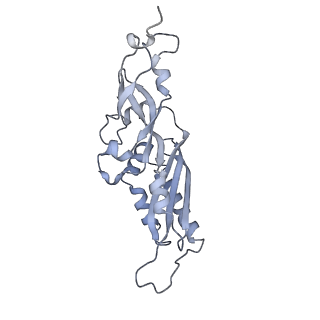28634_8evr_BB_v1-0
Hypopseudouridylated yeast 80S bound with Taura syndrome virus (TSV) internal ribosome entry site (IRES), eEF2, GDP, and sordarin, Structure II