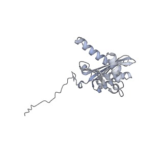 28634_8evr_BD_v1-0
Hypopseudouridylated yeast 80S bound with Taura syndrome virus (TSV) internal ribosome entry site (IRES), eEF2, GDP, and sordarin, Structure II