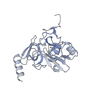 28634_8evr_BE_v1-0
Hypopseudouridylated yeast 80S bound with Taura syndrome virus (TSV) internal ribosome entry site (IRES), eEF2, GDP, and sordarin, Structure II