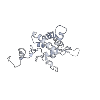 28634_8evr_BF_v1-0
Hypopseudouridylated yeast 80S bound with Taura syndrome virus (TSV) internal ribosome entry site (IRES), eEF2, GDP, and sordarin, Structure II