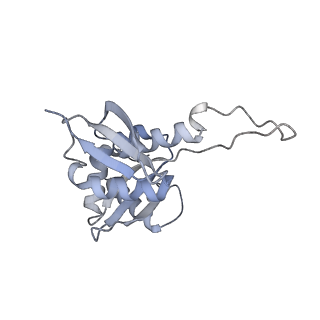 28634_8evr_BH_v1-0
Hypopseudouridylated yeast 80S bound with Taura syndrome virus (TSV) internal ribosome entry site (IRES), eEF2, GDP, and sordarin, Structure II