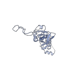 28634_8evr_BI_v1-0
Hypopseudouridylated yeast 80S bound with Taura syndrome virus (TSV) internal ribosome entry site (IRES), eEF2, GDP, and sordarin, Structure II