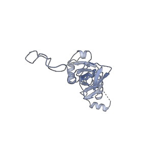 28634_8evr_BI_v2-0
Hypopseudouridylated yeast 80S bound with Taura syndrome virus (TSV) internal ribosome entry site (IRES), eEF2, GDP, and sordarin, Structure II
