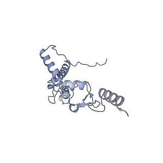 28634_8evr_BJ_v1-0
Hypopseudouridylated yeast 80S bound with Taura syndrome virus (TSV) internal ribosome entry site (IRES), eEF2, GDP, and sordarin, Structure II