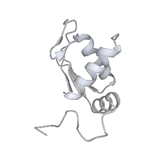 28634_8evr_BK_v1-0
Hypopseudouridylated yeast 80S bound with Taura syndrome virus (TSV) internal ribosome entry site (IRES), eEF2, GDP, and sordarin, Structure II