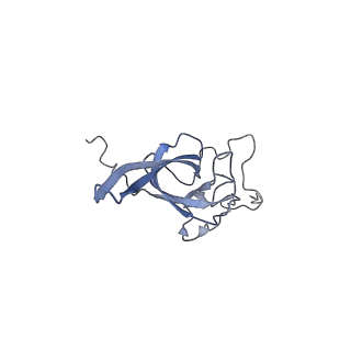 28634_8evr_BL_v1-0
Hypopseudouridylated yeast 80S bound with Taura syndrome virus (TSV) internal ribosome entry site (IRES), eEF2, GDP, and sordarin, Structure II