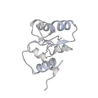 28634_8evr_BM_v1-0
Hypopseudouridylated yeast 80S bound with Taura syndrome virus (TSV) internal ribosome entry site (IRES), eEF2, GDP, and sordarin, Structure II